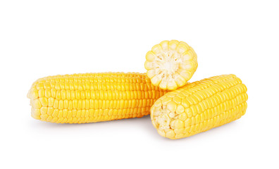 Corn on the cob on a white background