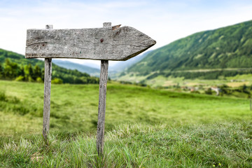 Spring signpost and green landscape 