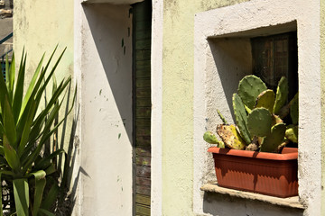 Ligurian house courtyard with vases and vegetation. San Bernardino, Cinque Terre