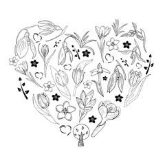 romantic floral spring flowers collection. Hand drawn doodle zen art pattern. tulips, crocus, snowdrop, verdure vector illustration