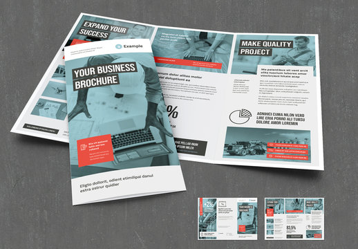 Trifold Brochure with Coral and Gray Accents