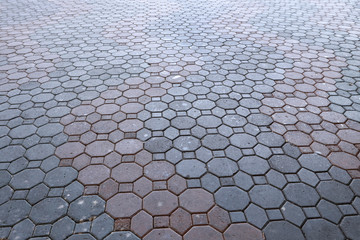 concrete texture floor for background