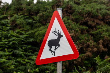 traffic sign for deer crossing