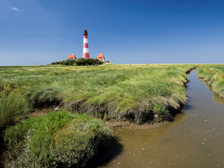 Deichvorland Nordsee Westerhever im Sommer