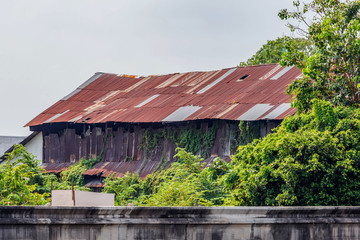 House and the way of life of Thai people beside the Chao Phraya River