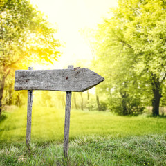 desk of free space and spring time 
