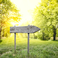 desk of free space and spring time 
