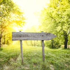 desk of free space and spring time 