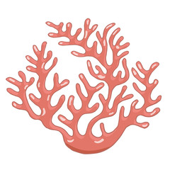 pink coral isolated flat vector illustration on white background