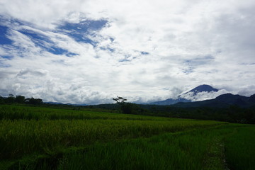 Fototapeta premium amazing natural scenery