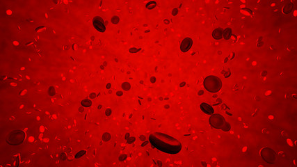 Blood cells in the human body