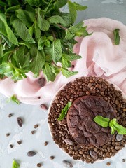 young plant in a pot