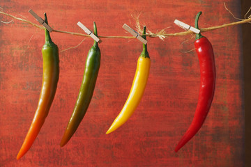 Verschiedene Peperoni auf einer Wäscheleine