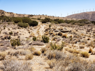 Mojave desert landscape