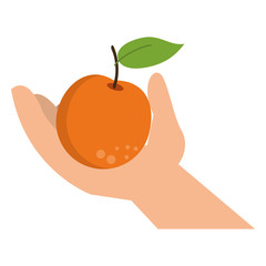 hand holding orange