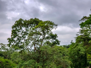 Obraz premium The natural wander of Chiapas Mexico