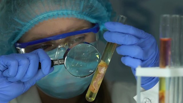 Female researcher examining meat sample in tube with magnifying glass, expertise