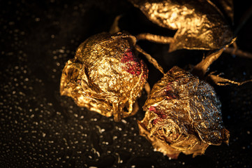 Abstract macro fine-art background with golden roses and water drops. Symbol of love, wealth, rich.