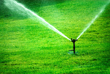 Sprinkler Spraying Water on Lush Green Grass