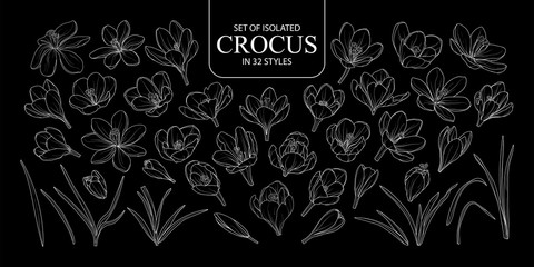 Set of isolated Crocus in 32 styles.