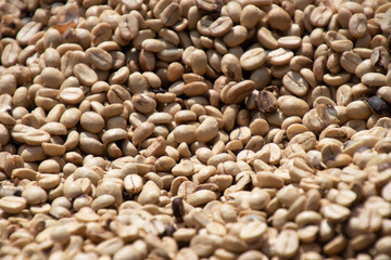 raw coffee beans background.coffee beans pattern in coffee shop prepared for roasted before making cappuccino or latte hot drink.