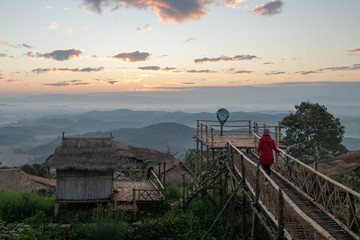 Chrysanthemums flower sometimes called mums or chrysanths.In chiang rai north province of thailand...