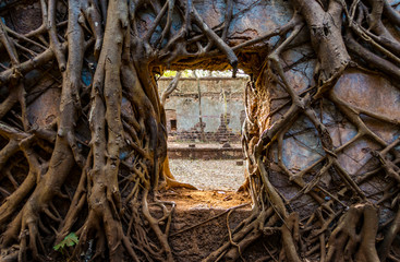 Old Window Yashwant Gad Fort, Maharastra, India © Zamarreñian