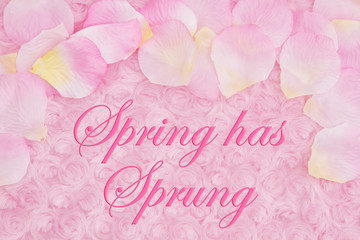 Spring has Spring message with a flower petals on pale pink rose plush fabric
