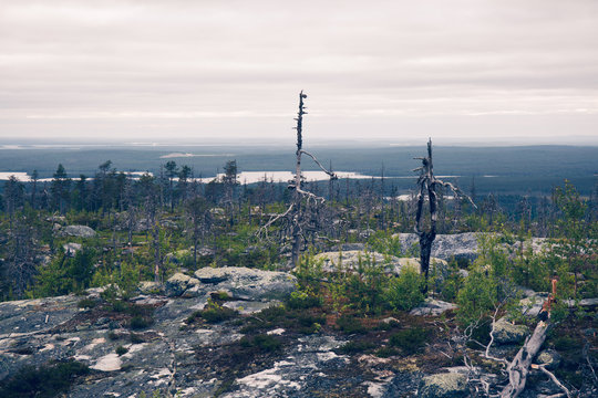 view 