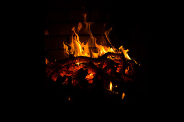 orange woods bonfire flame