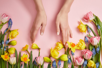 partial view of female hands, fresh pink tulips, blue hyacinths and yellow daffodils on pink