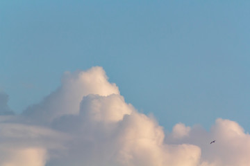 Blue sky with fluffy clouds