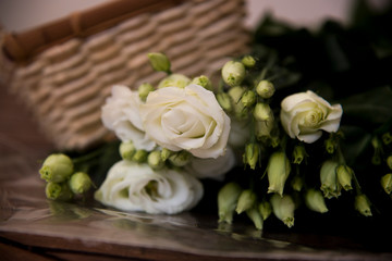 pretty eustoma lisianthus on simple background
