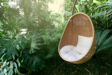 Rattan oval hanging chair witht pillow in tropical plant.