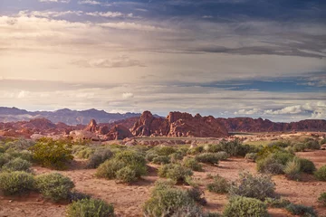 Valley of Fire state park landscape