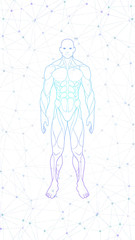 contour shape human body anatomy neon hologram projected at isolated on white background , sci fi interface design element , vector illustration