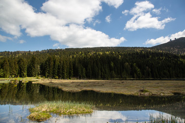 Obraz premium Landscape at the small Arbersee in Bavaria