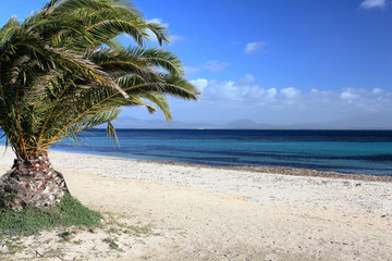Fototapeta na wymiar Spiaggia di Maladroxia, Sant'Antioco