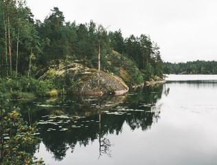 lake in forest