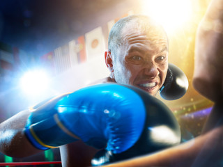 Box professional figters on the ring in lights