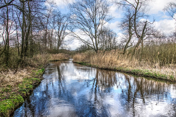 View of the river Dommel near Valkenswaard, The Netherlands in which trees, bushes and the sky reflect on a day in springtime