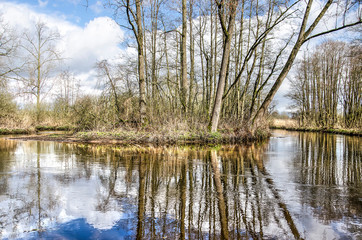 Fototapeta na wymiar Trees and bushes growing in a bend in the river Dommel near Valkenswaard, The Netherlands reflecting in the water surface on a beautiful day in springtime