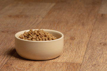 Beige cat and dog food bowl on the floor