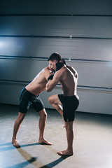 muscular barefoot mma fighter kicking sportive opponent with knee