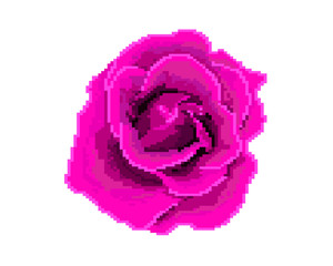 Rose icon. Pixel art. Logo of the flower shop.