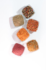 Different spices on the white background