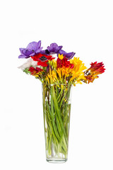 Florero con flores naturales y silvestres de colores sobre un fondo blanco liso y aislado. Vista de frente. Copy space
