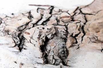 Wooden textural background