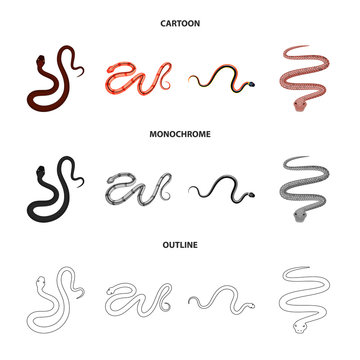 Vector illustration of mammal and danger logo. Collection of mammal and medicine stock symbol for web.