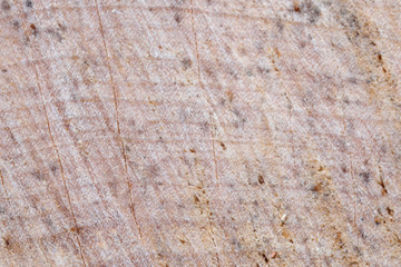 Wooden textural background